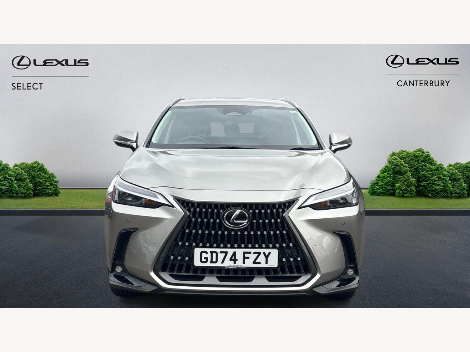 Used Lexus NX for sale - 77882932: Photo 6
