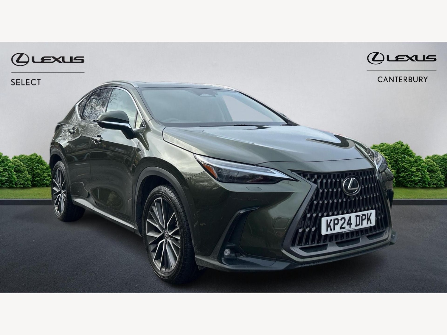 Used Lexus NX 2024 for sale - 76801325: Photo 1