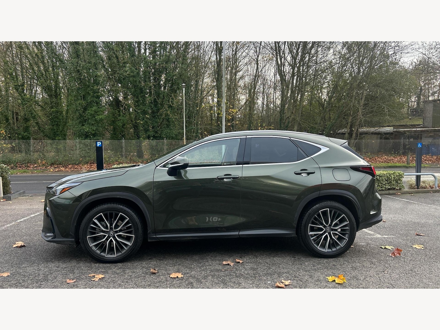 Used Lexus NX 2024 for sale - 76801325: Photo 18