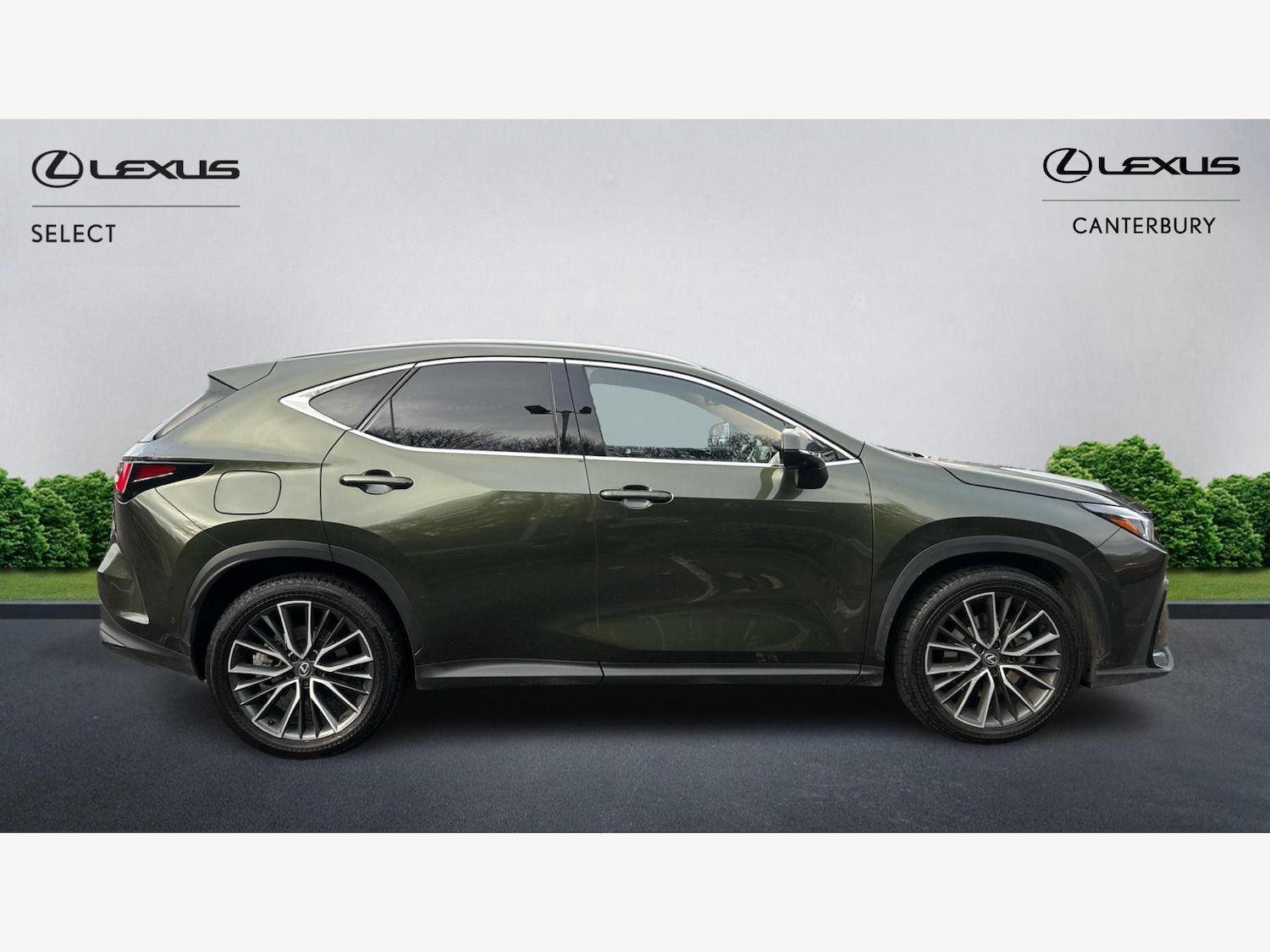 Used Lexus NX 2024 for sale - 76801325: Photo 3