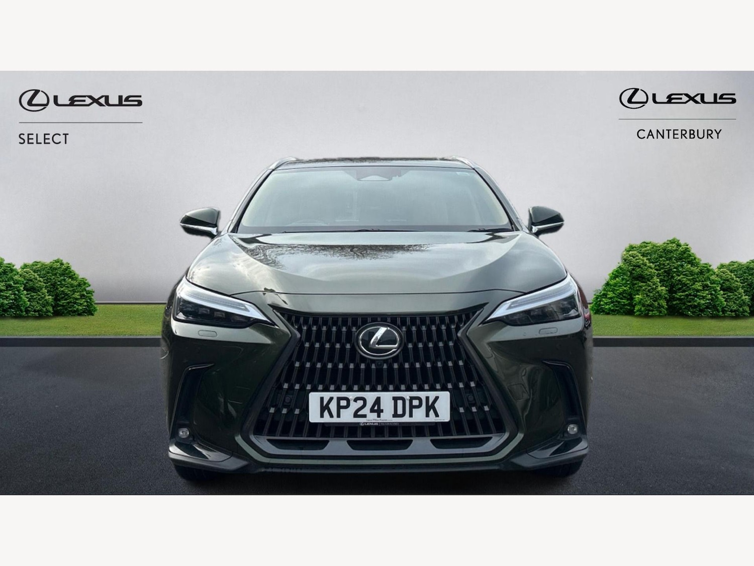 Used Lexus NX 2024 for sale - 76801325: Photo 6