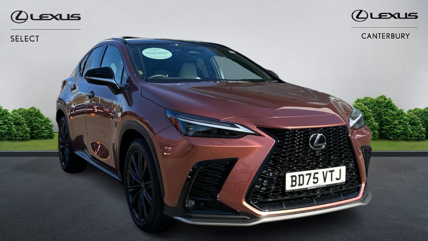 Used Lexus NX 2025 for sale - 78171447: Photo 1