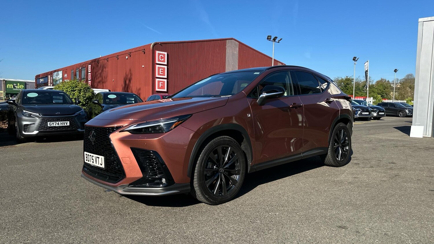 Used Lexus NX 2025 for sale - 78171447: Photo 25