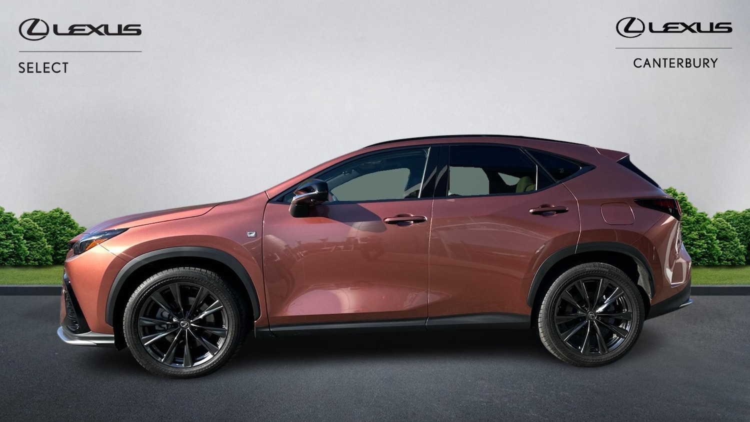Used Lexus NX 2025 for sale - 78171447: Photo 3