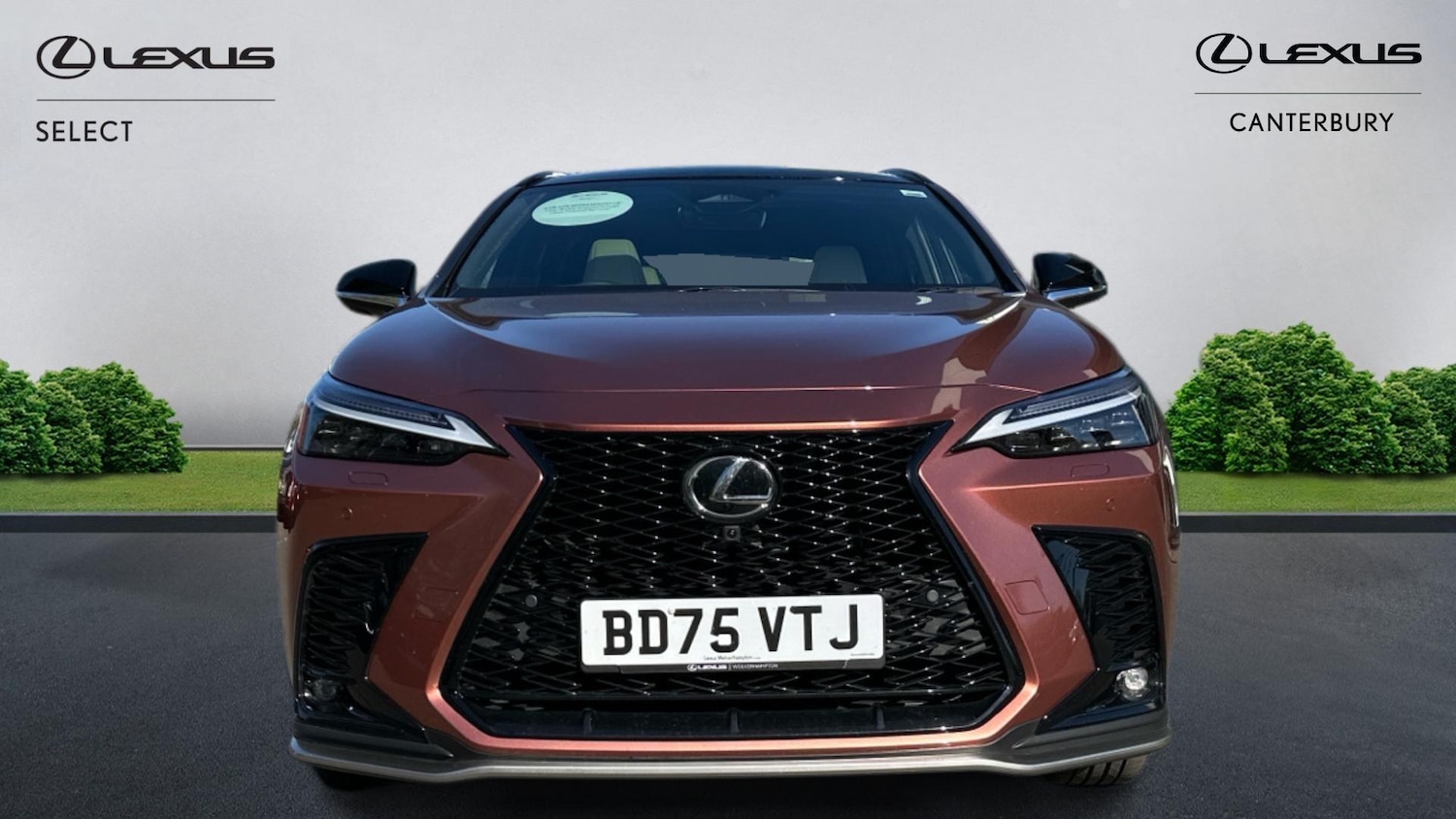 Used Lexus NX 2025 for sale - 78171447: Photo 4