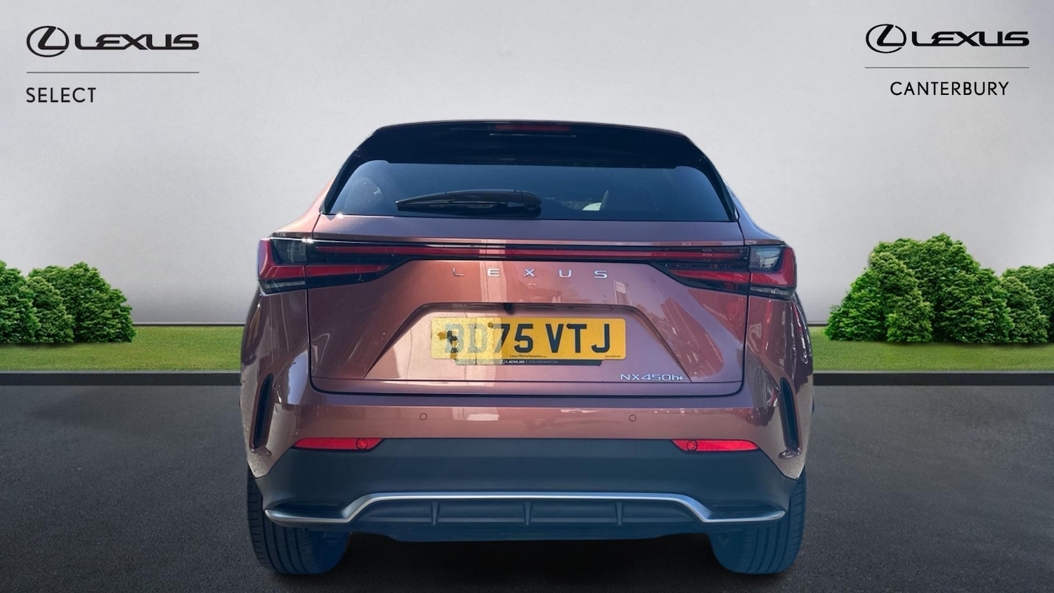 Used Lexus NX 2025 for sale - 78171447: Photo 5