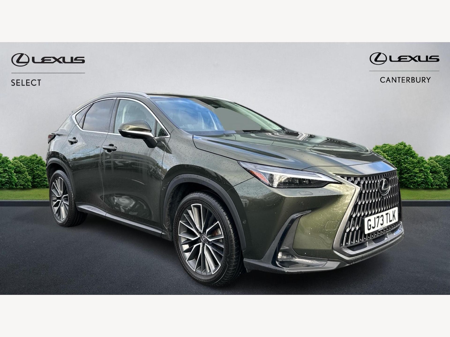 Used Lexus NX for sale - 76728754: Photo 1
