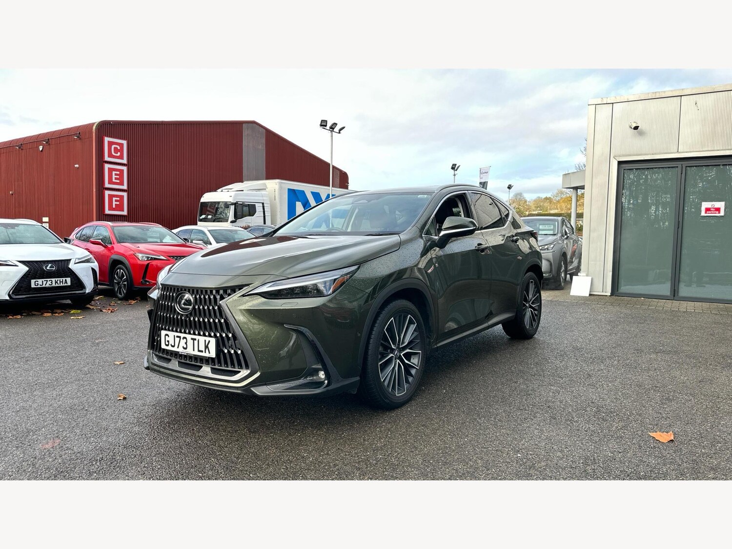 Used Lexus NX for sale - 76728754: Photo 19