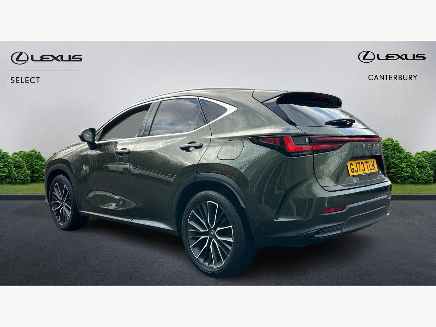 Used Lexus NX for sale - 76728754: Photo 2