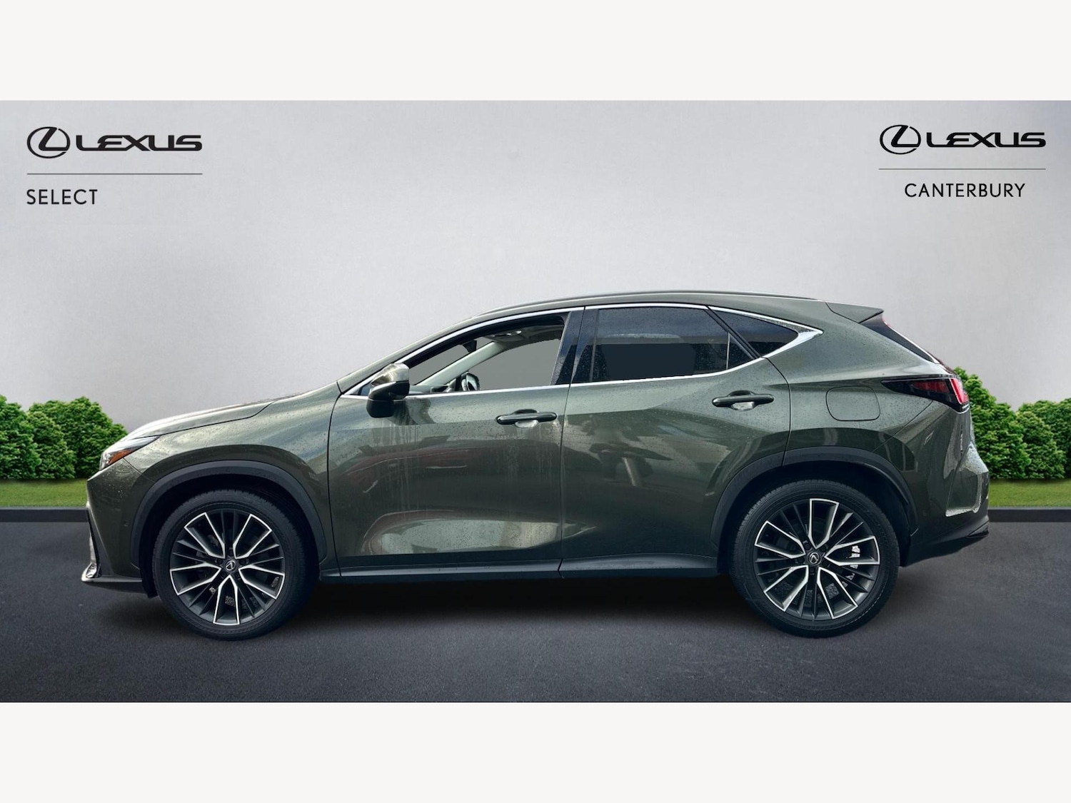 Used Lexus NX for sale - 76728754: Photo 3