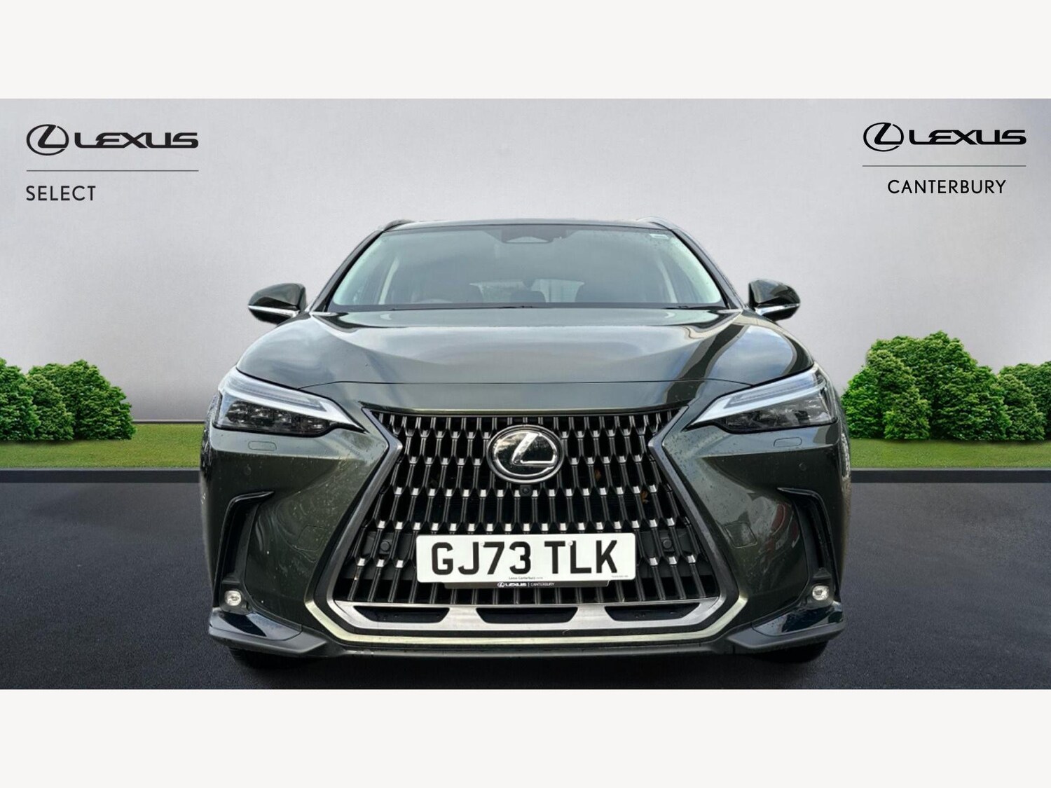 Used Lexus NX for sale - 76728754: Photo 6