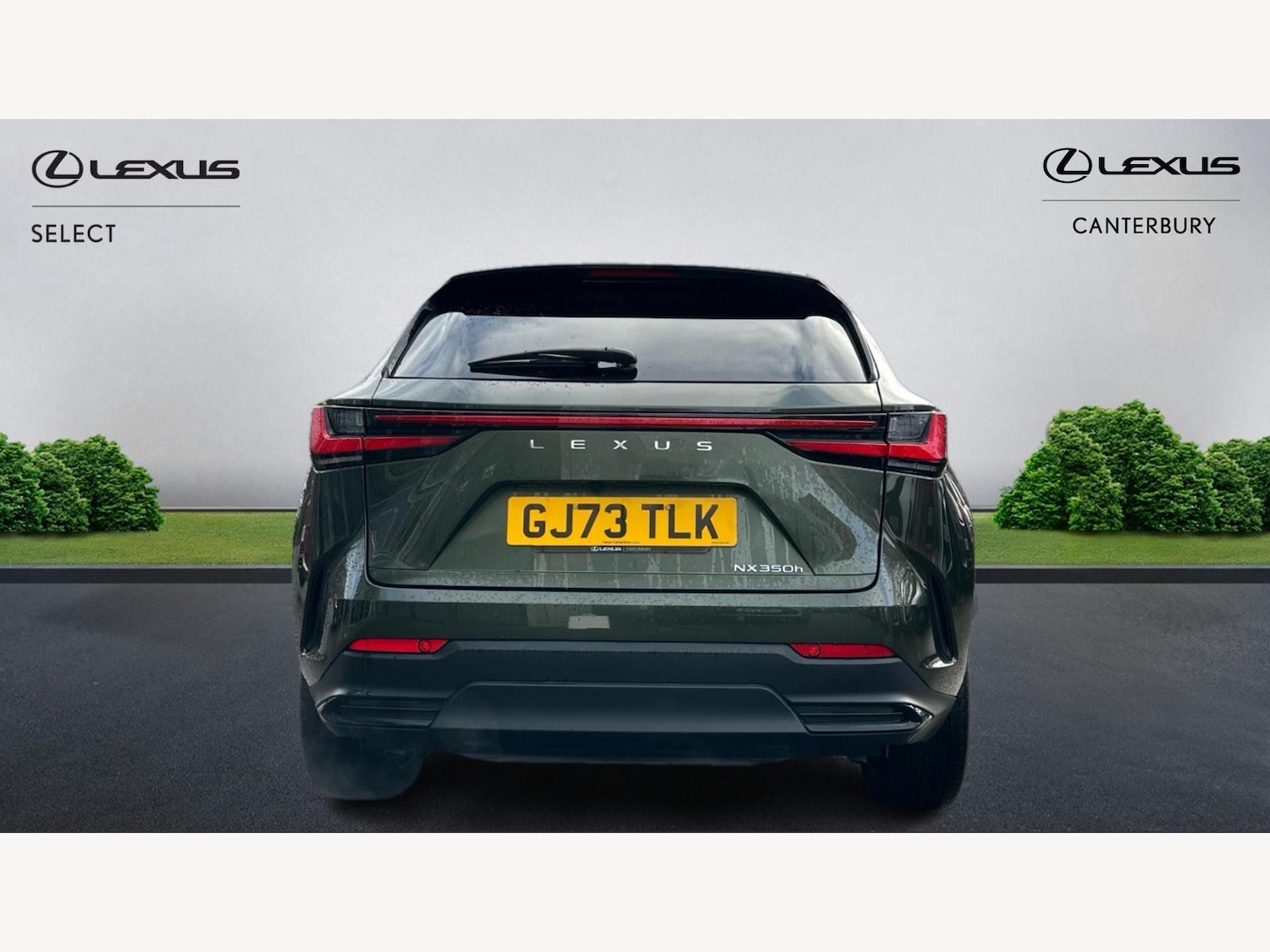 Used Lexus NX for sale - 76728754: Photo 7