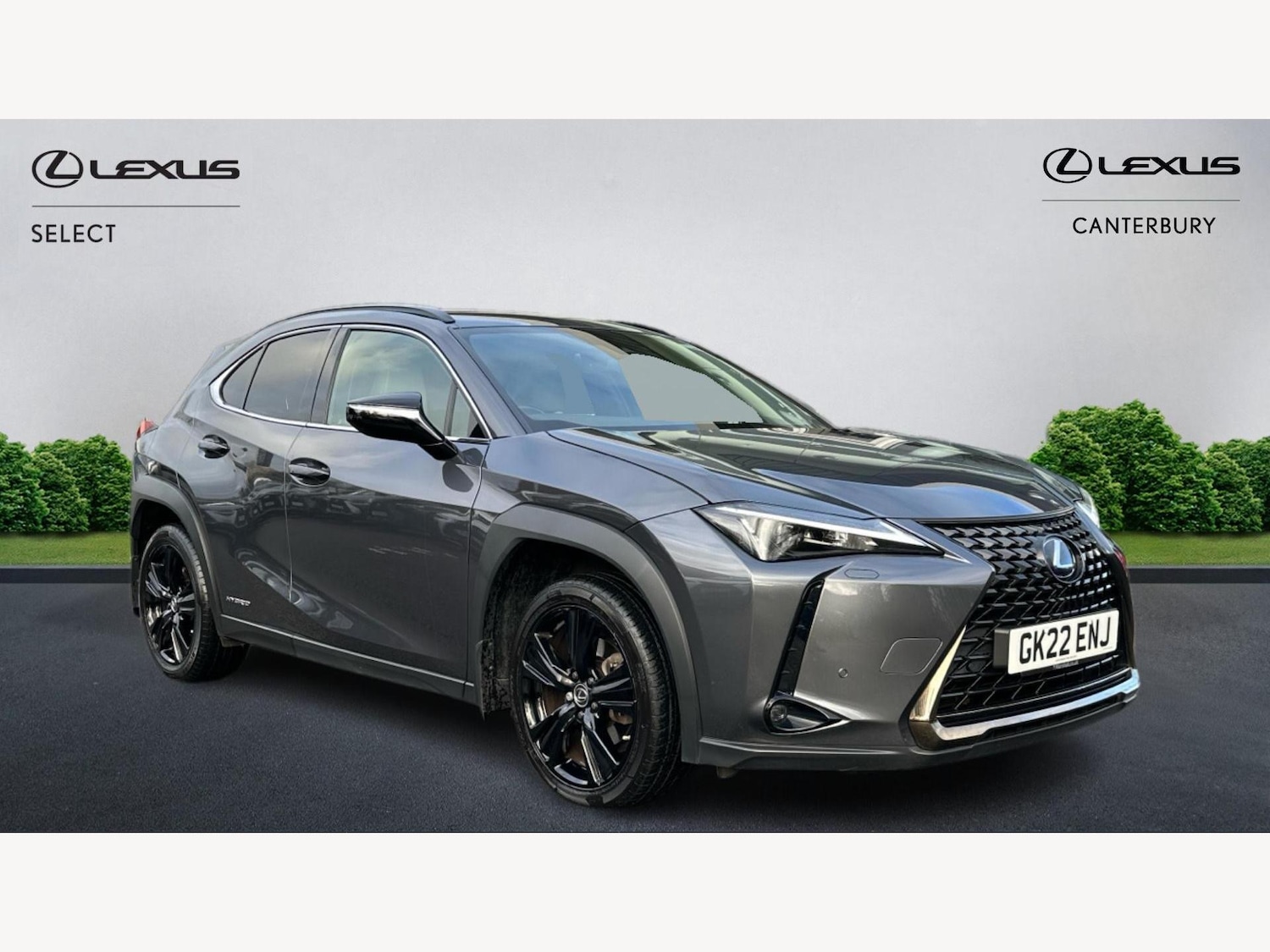 Used Lexus UX 2022 for sale - 76742444: Photo 1