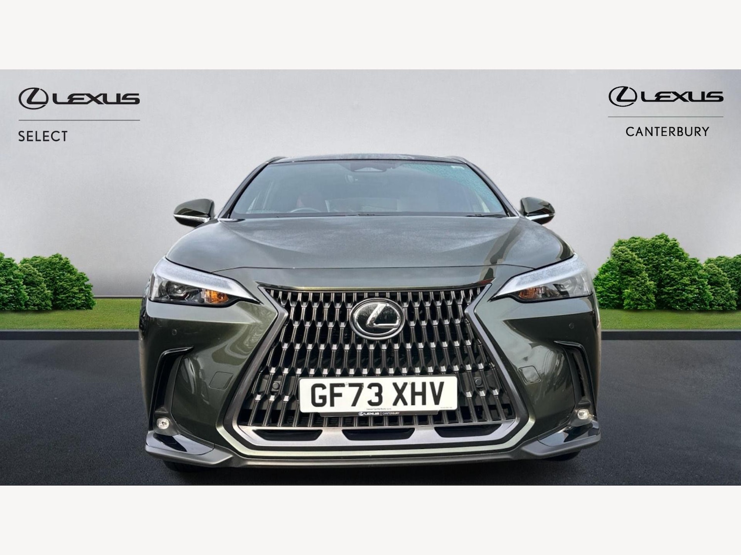 Used Lexus NX 2023 for sale - 77074067: Photo 6