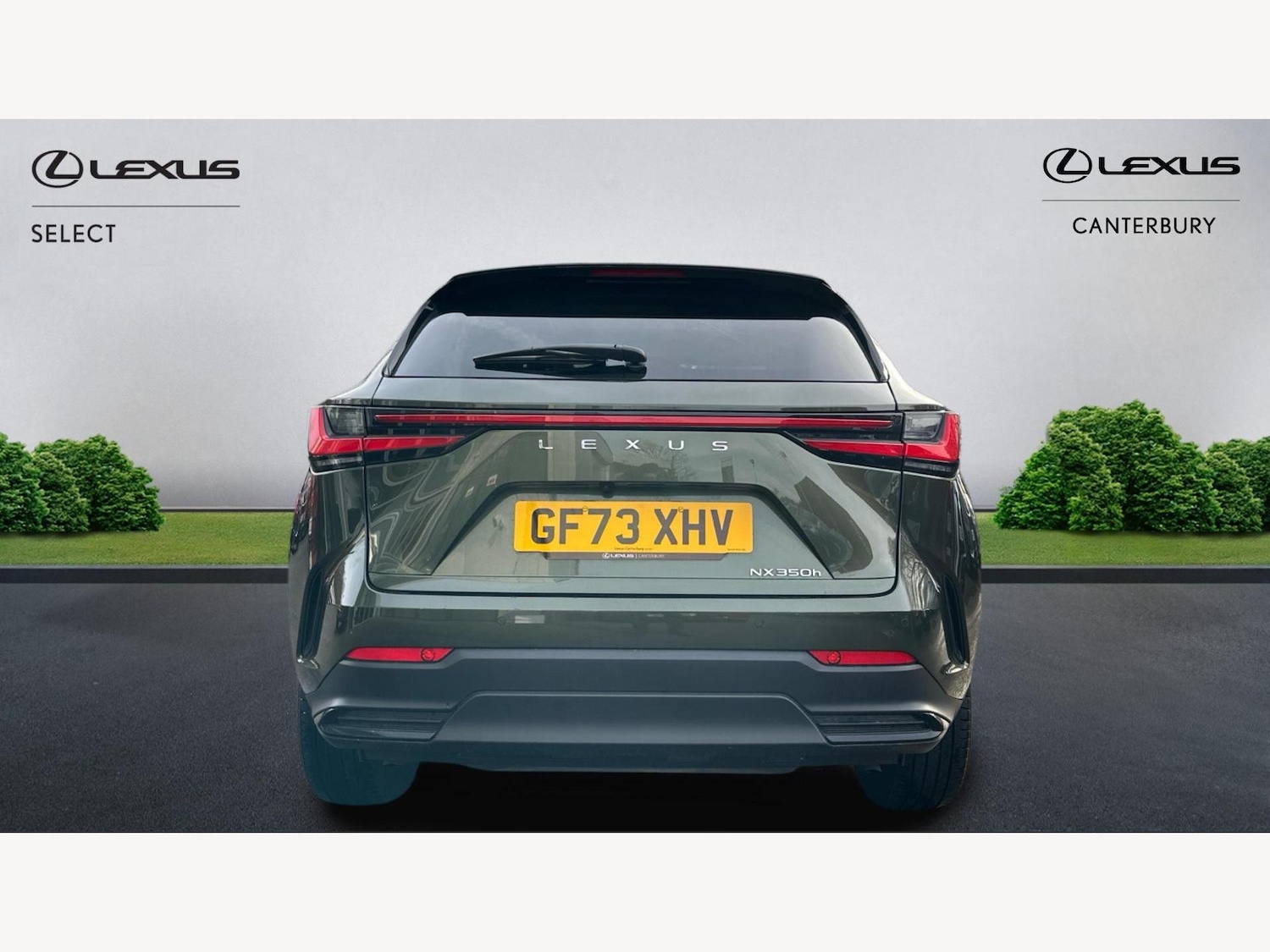 Used Lexus NX 2023 for sale - 77074067: Photo 7