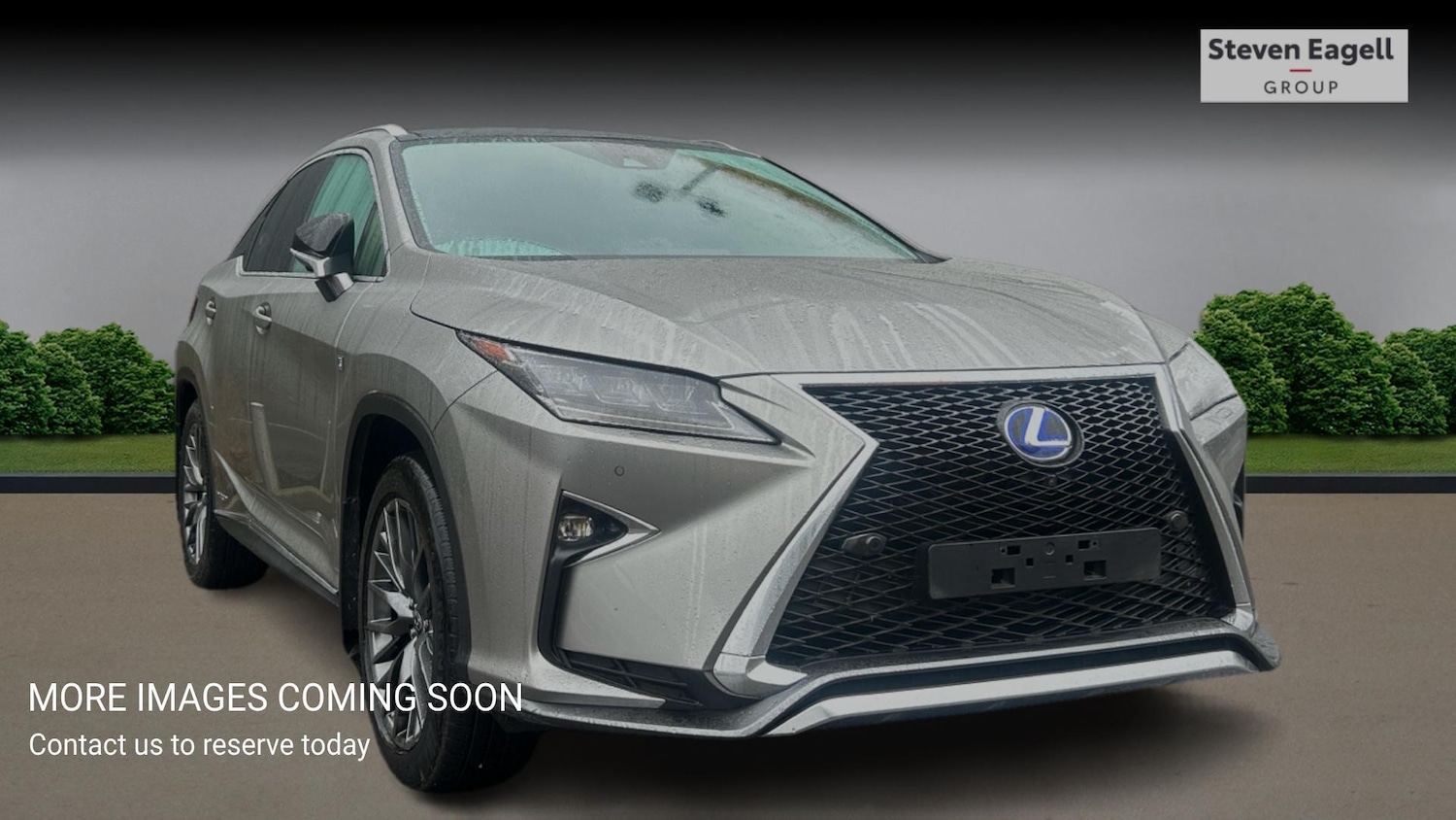 Used Lexus RX 2019 for sale - 76349291: Photo 1