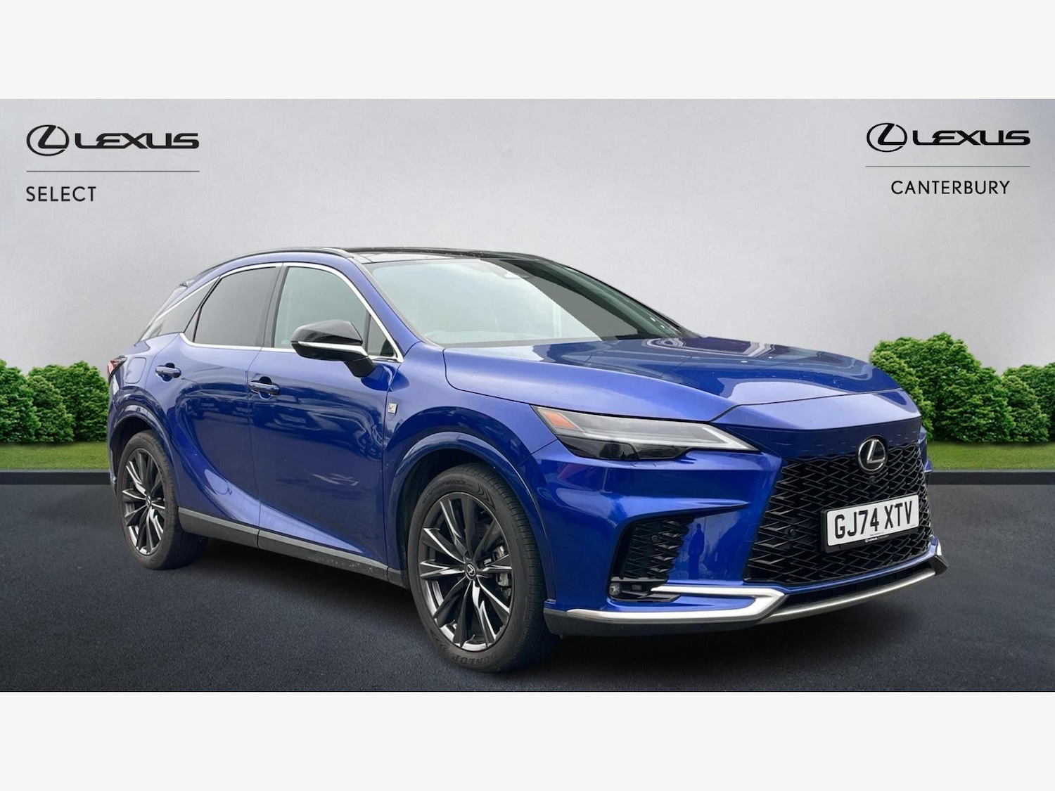 Used Lexus RX 2024 for sale - 77091254: Photo 1