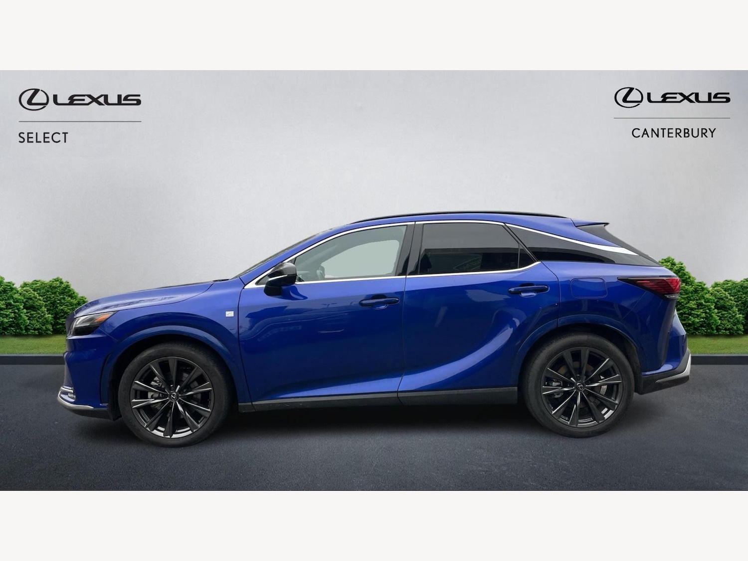 Used Lexus RX 2024 for sale - 77091254: Photo 3