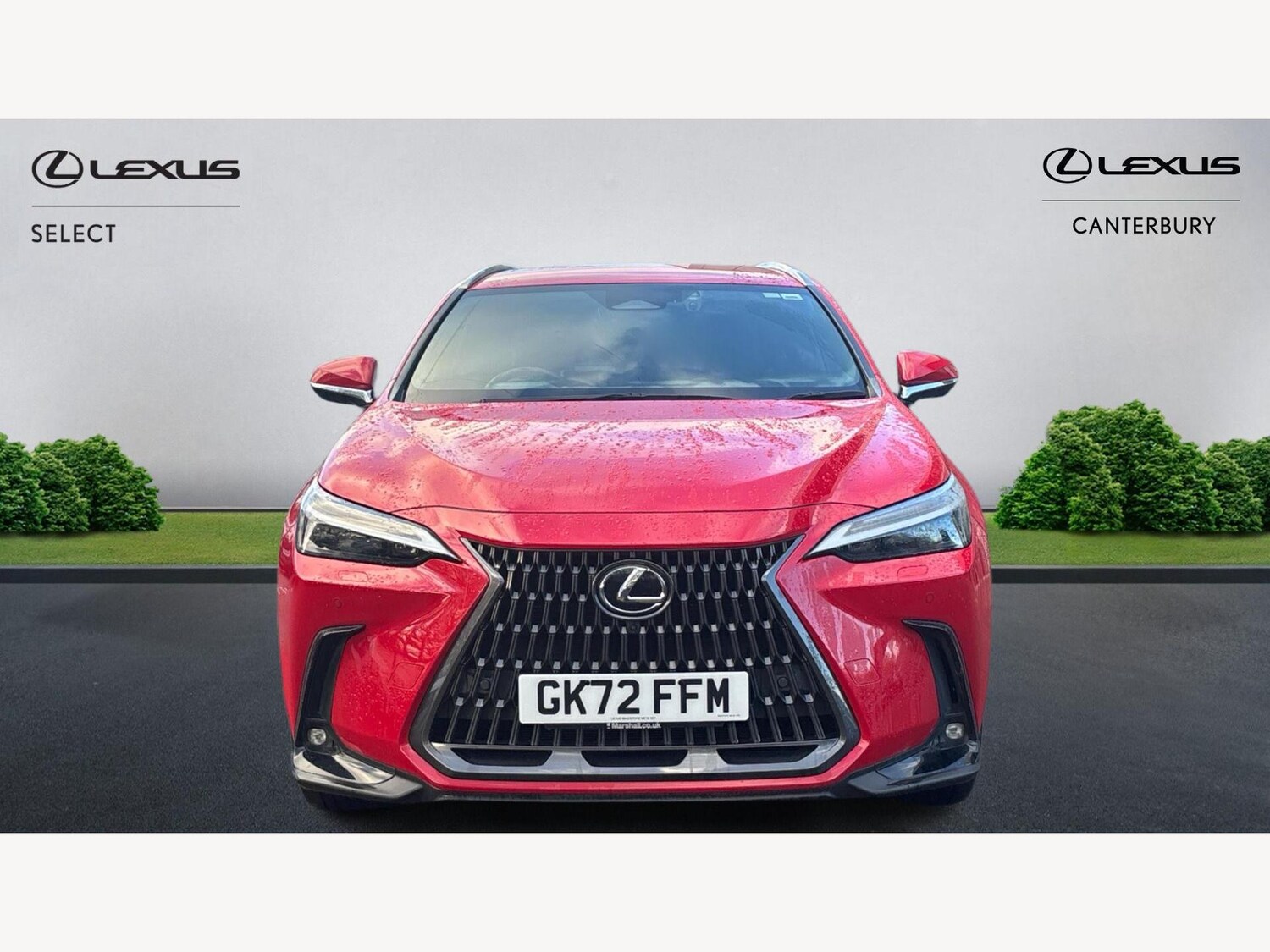 Used Lexus NX 2022 for sale - 76823756: Photo 6