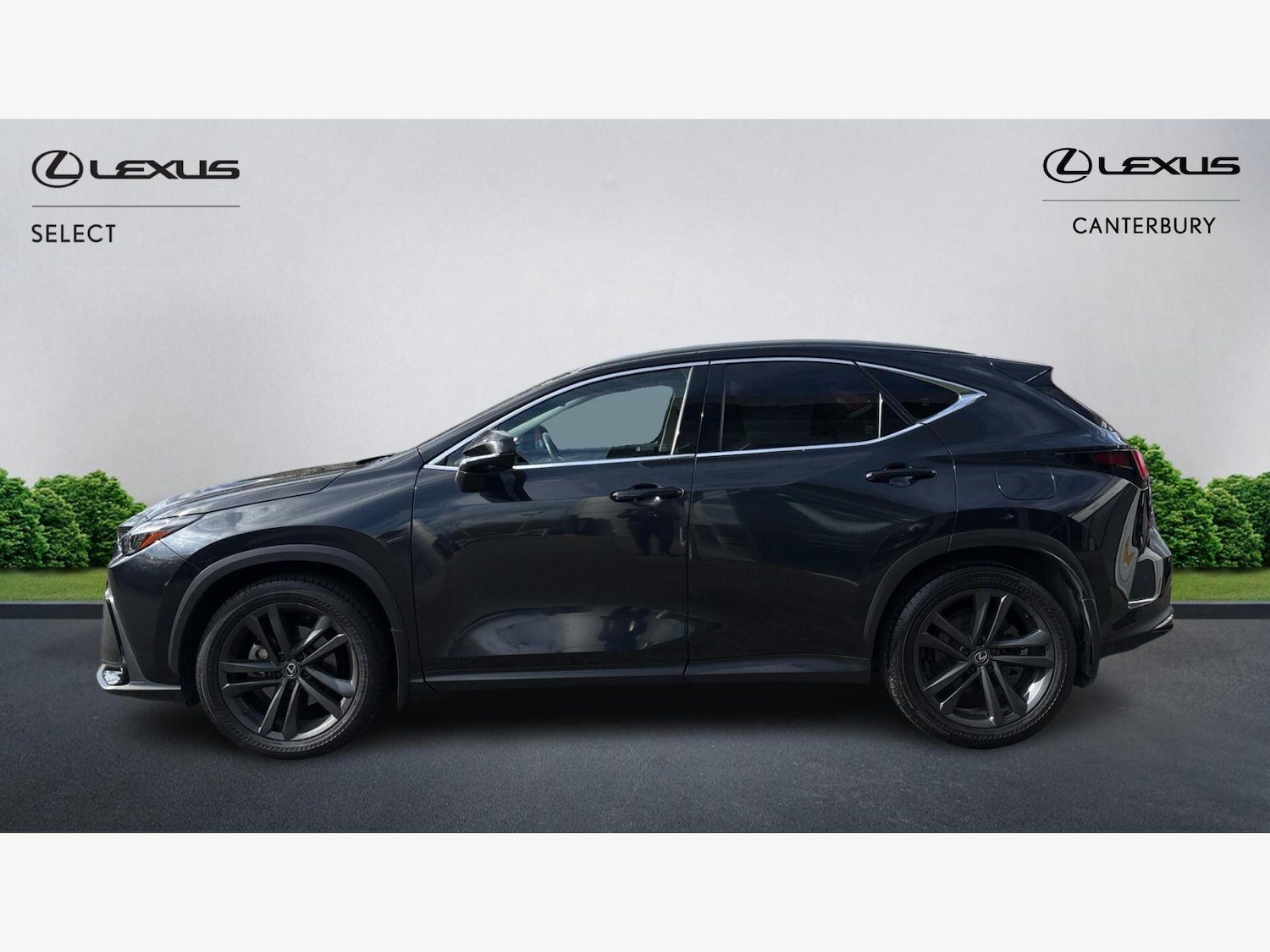 Used Lexus NX 2023 for sale - 78033631: Photo 3