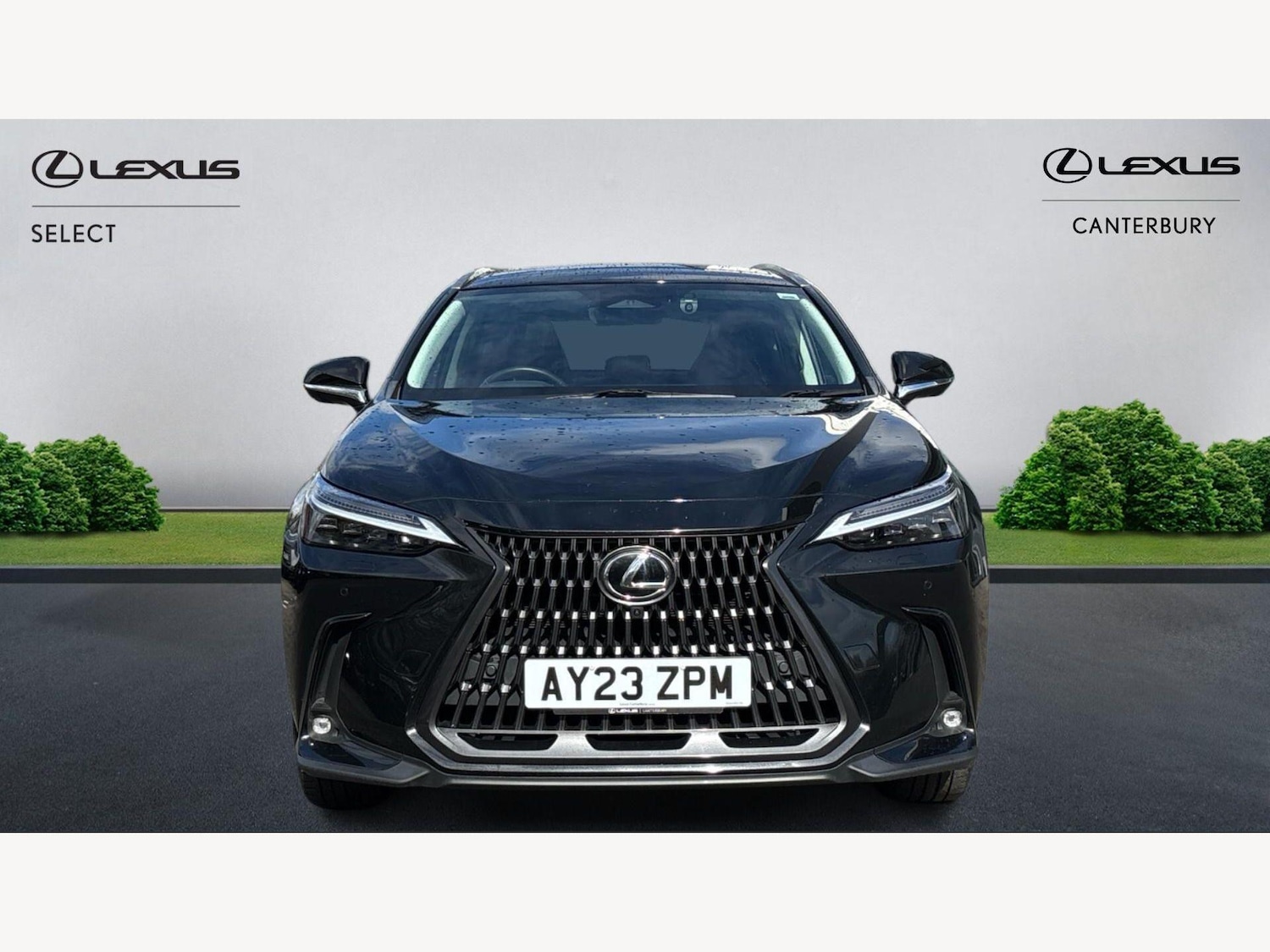 Used Lexus NX 2023 for sale - 78033631: Photo 6