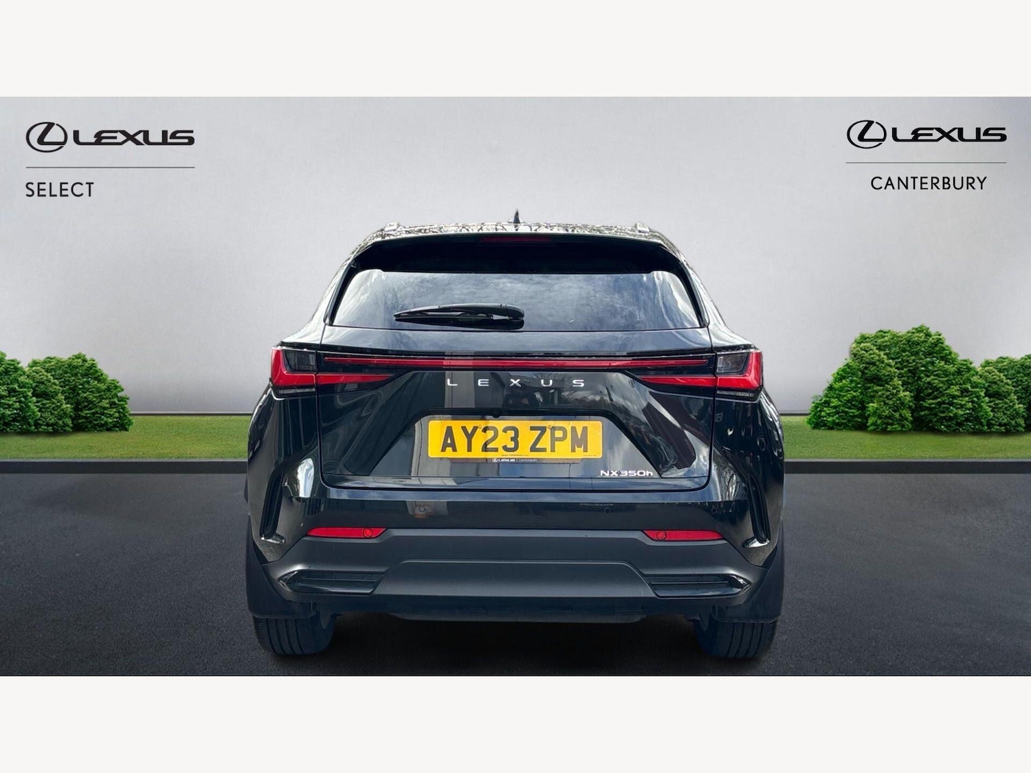 Used Lexus NX 2023 for sale - 78033631: Photo 7