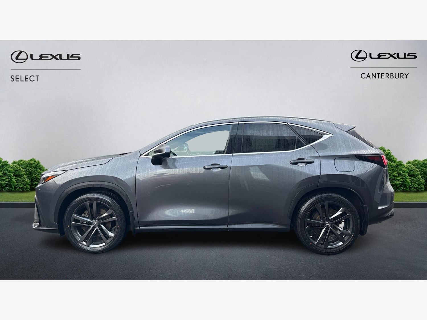 Used Lexus NX 2022 for sale - 76936039: Photo 3