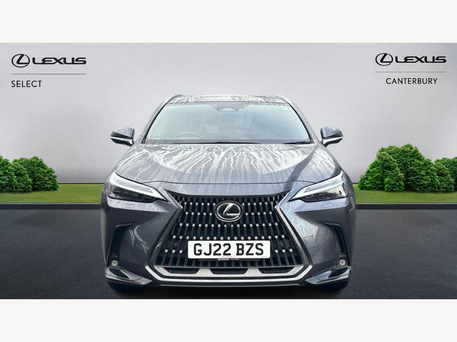 Used Lexus NX 2022 for sale - 76936039: Photo 6