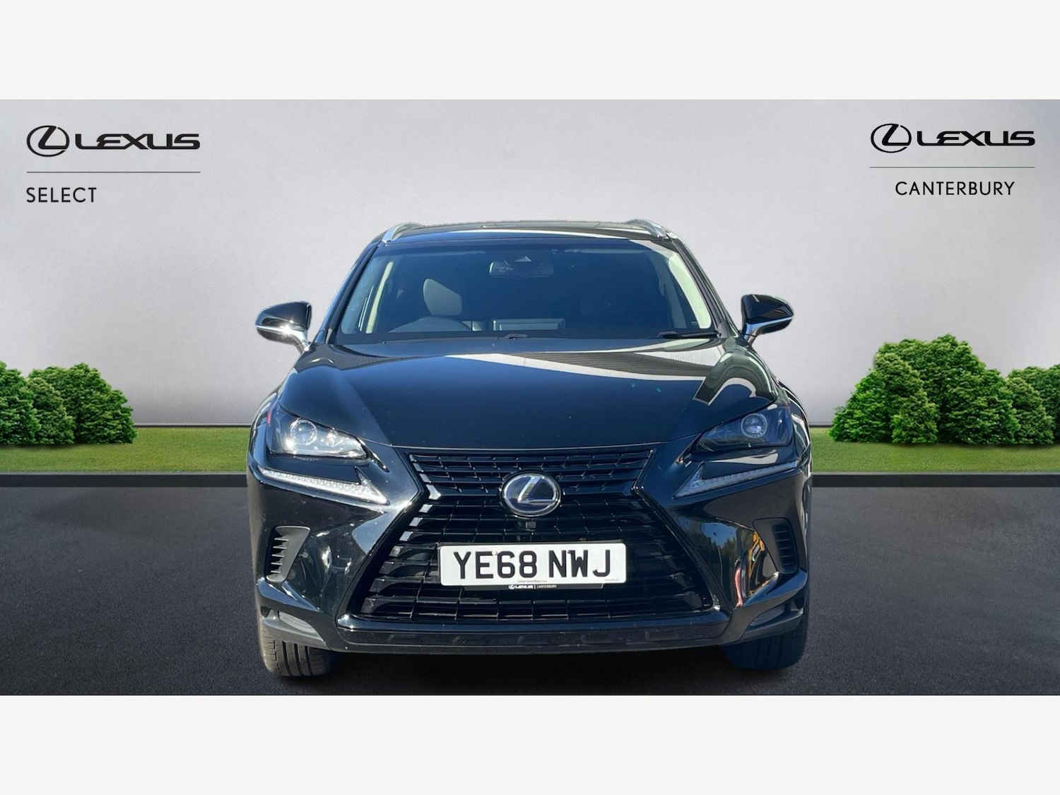 Used Lexus NX 2018 for sale - 76109380: Photo 6