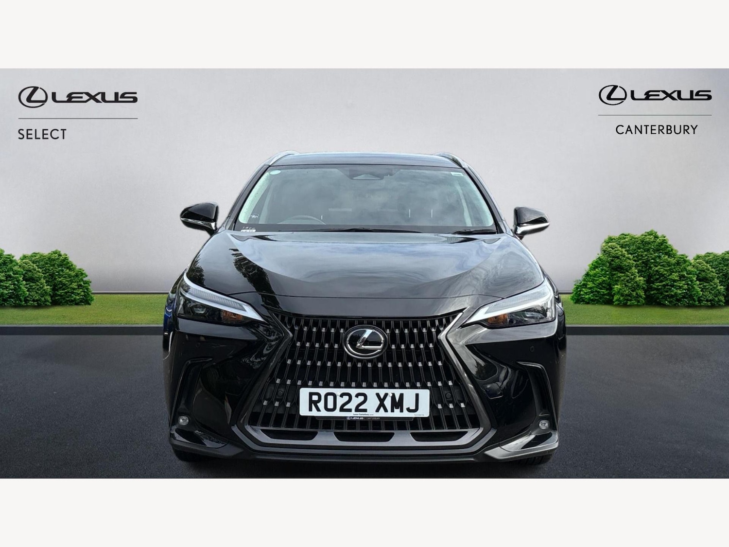 Used Lexus NX 2022 for sale - 75965380: Photo 6