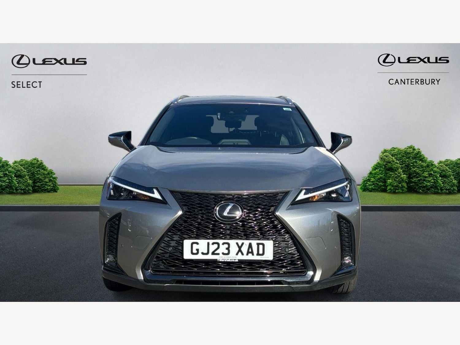 Used Lexus UX 2023 for sale - 78033878: Photo 6