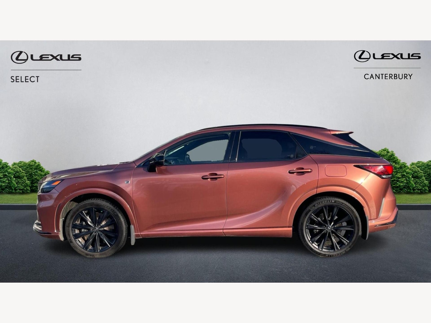 Used Lexus RX 2023 for sale - 77237786: Photo 3