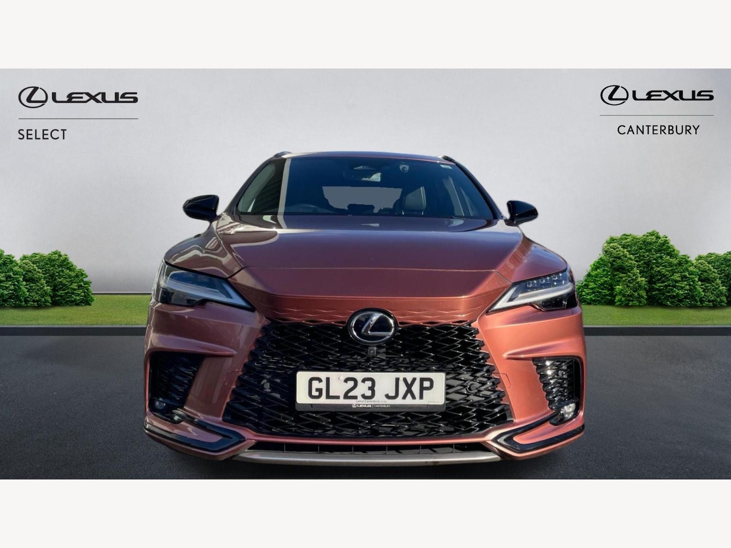 Used Lexus RX 2023 for sale - 77237786: Photo 6