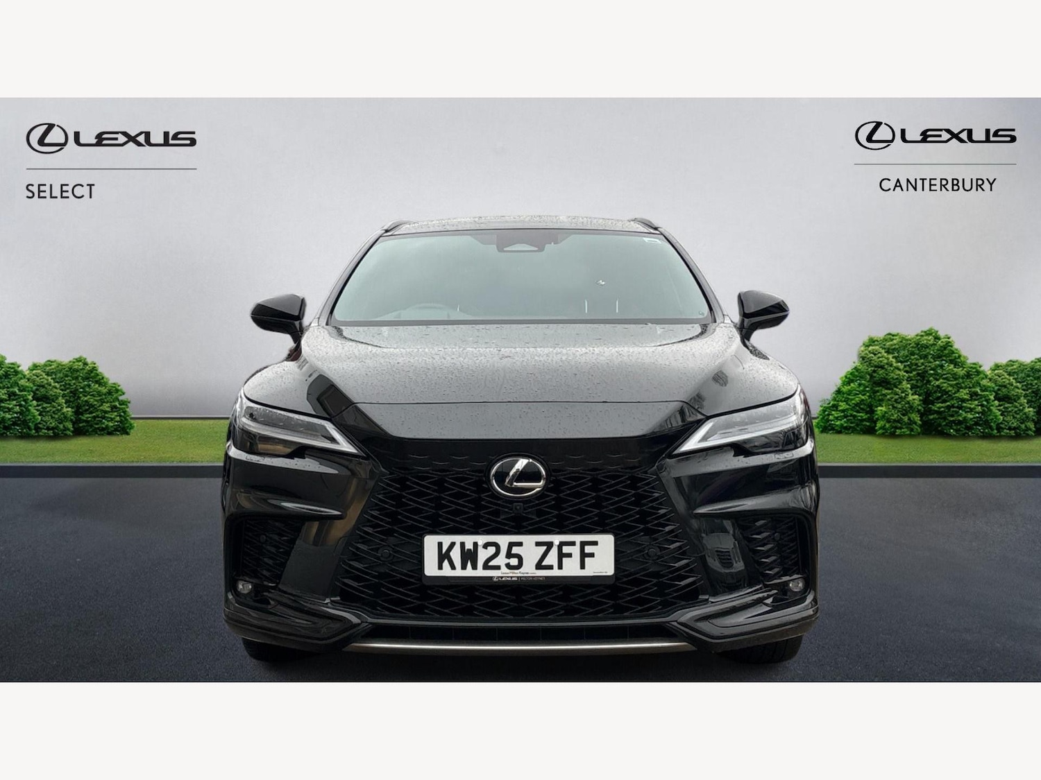 Used Lexus RX 2025 for sale - 77351475: Photo 6