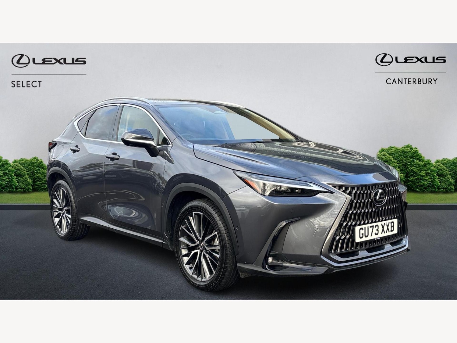 Used Lexus NX 2023 for sale - 76759478: Photo 1