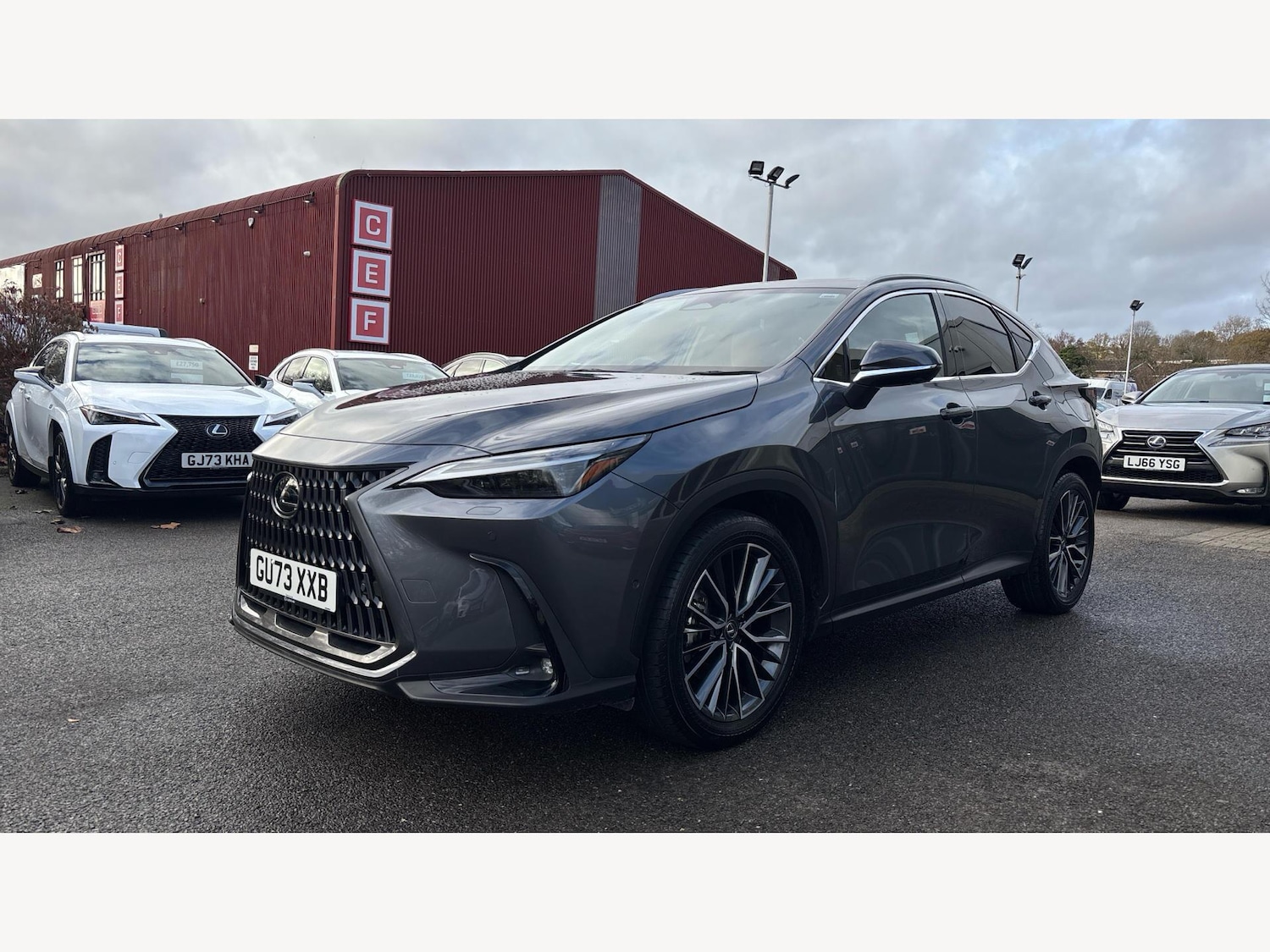 Used Lexus NX 2023 for sale - 76759478: Photo 19