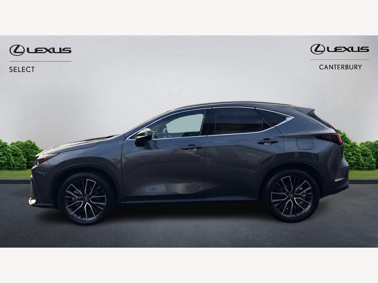 Used Lexus NX 2023 for sale - 76759478: Photo 3