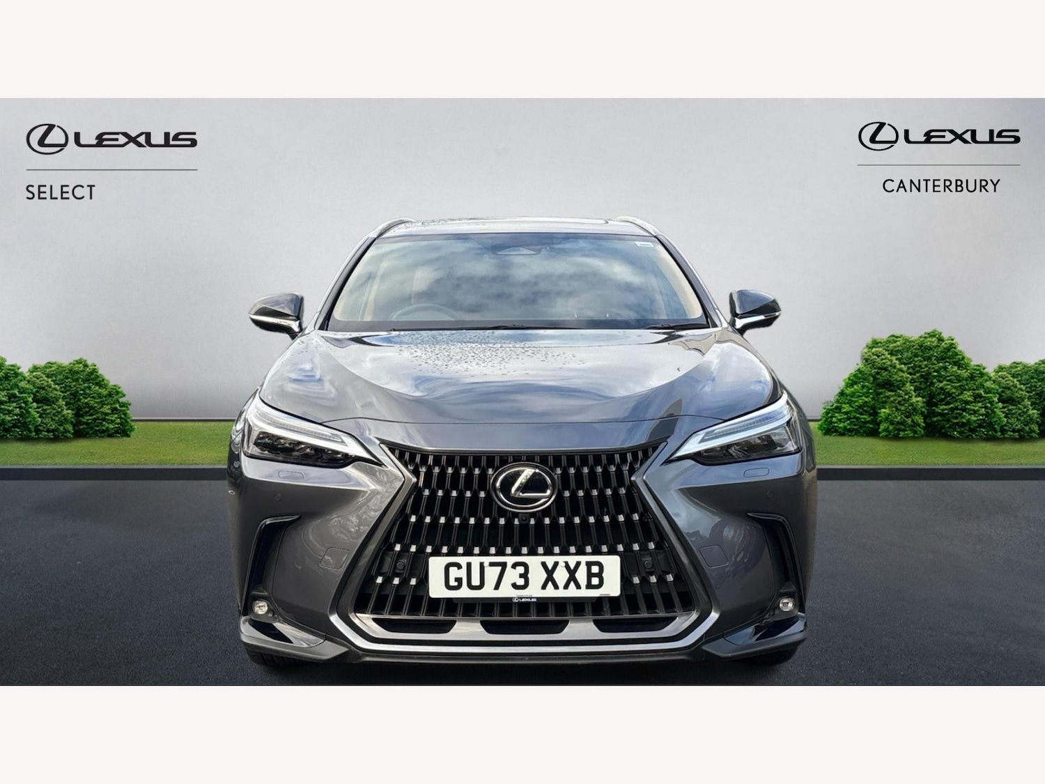 Used Lexus NX 2023 for sale - 76759478: Photo 6