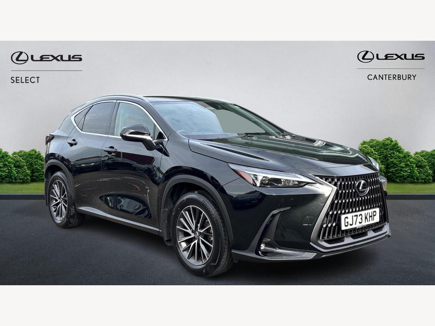 Used Lexus NX 2023 for sale - 76326778: Photo 1