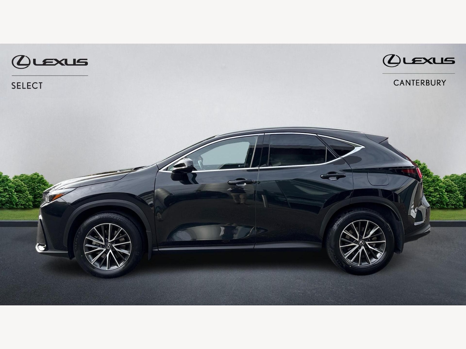 Used Lexus NX 2023 for sale - 76326778: Photo 3