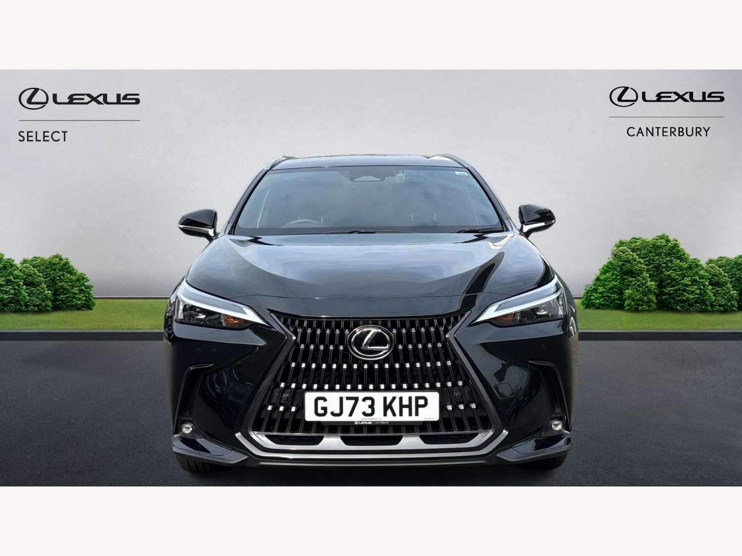 Used Lexus NX 2023 for sale - 76326778: Photo 6