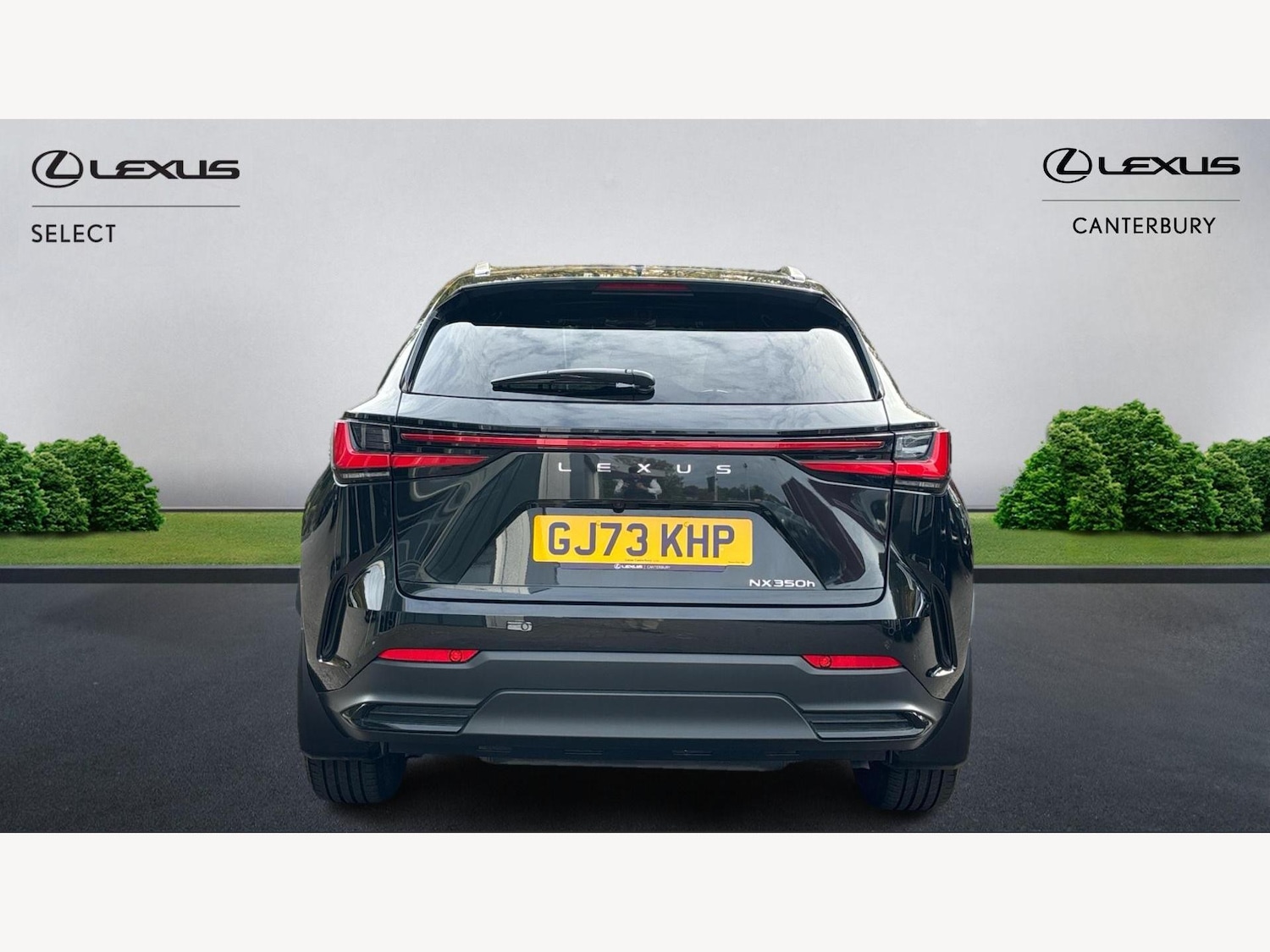 Used Lexus NX 2023 for sale - 76326778: Photo 7