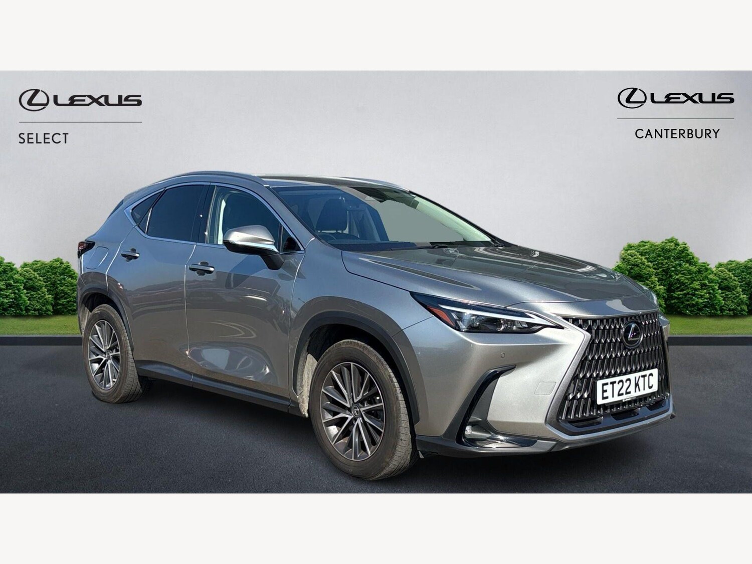 Used Lexus NX for sale - 77970044: Photo 1