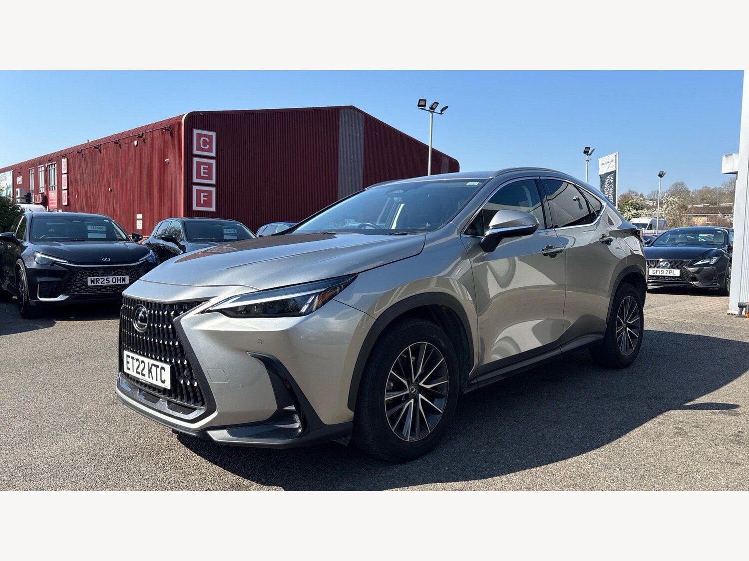 Used Lexus NX for sale - 77970044: Photo 19