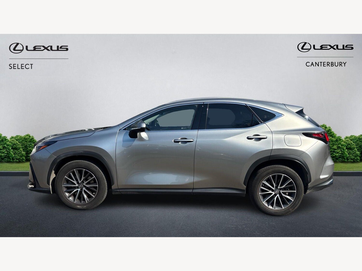 Used Lexus NX for sale - 77970044: Photo 3