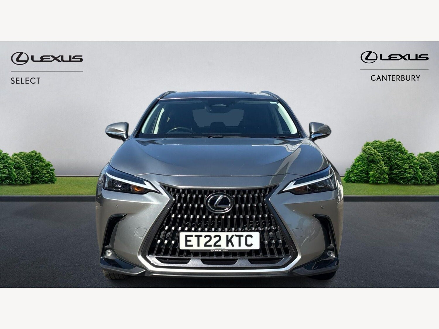 Used Lexus NX for sale - 77970044: Photo 6