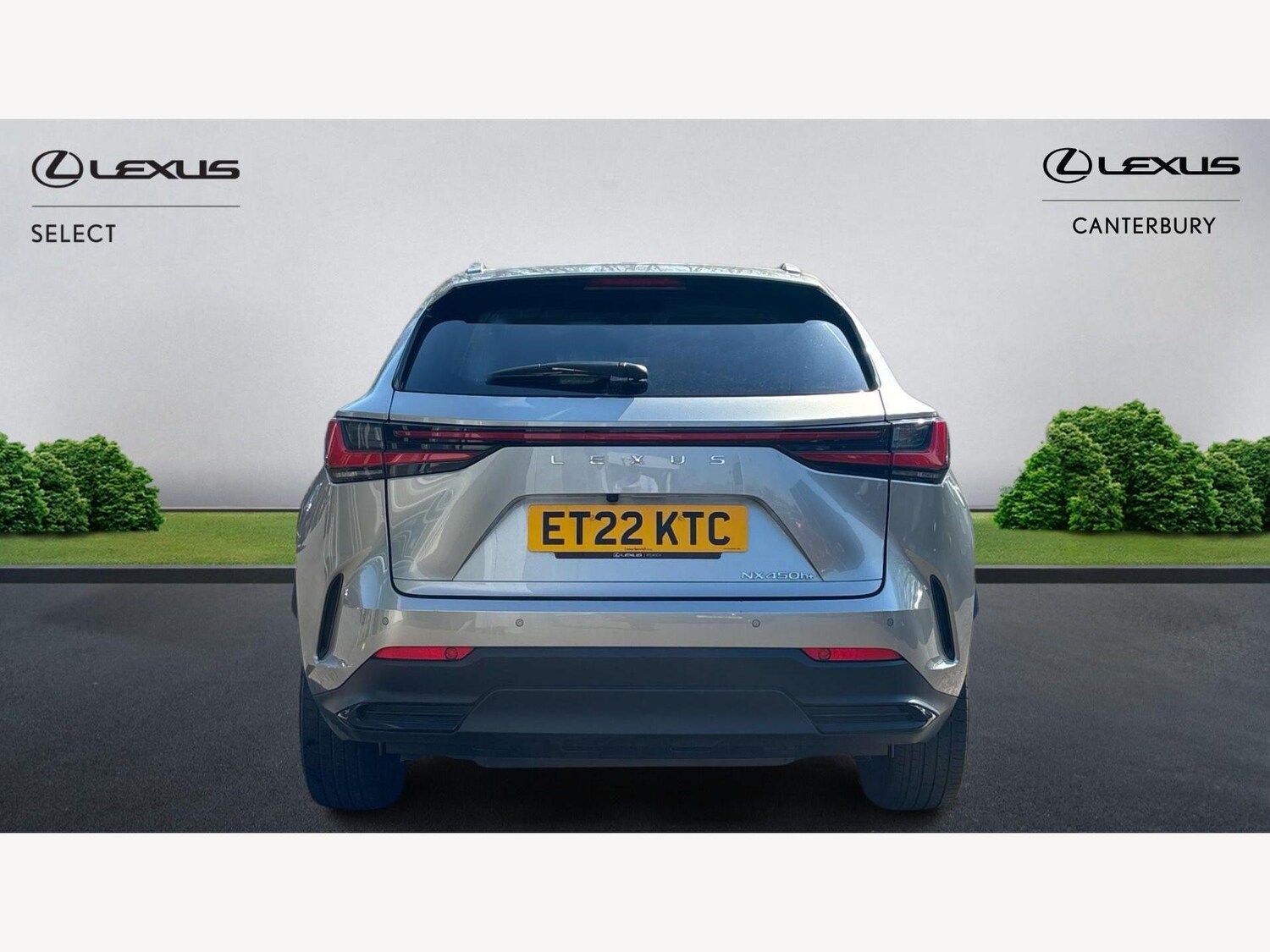Used Lexus NX for sale - 77970044: Photo 7