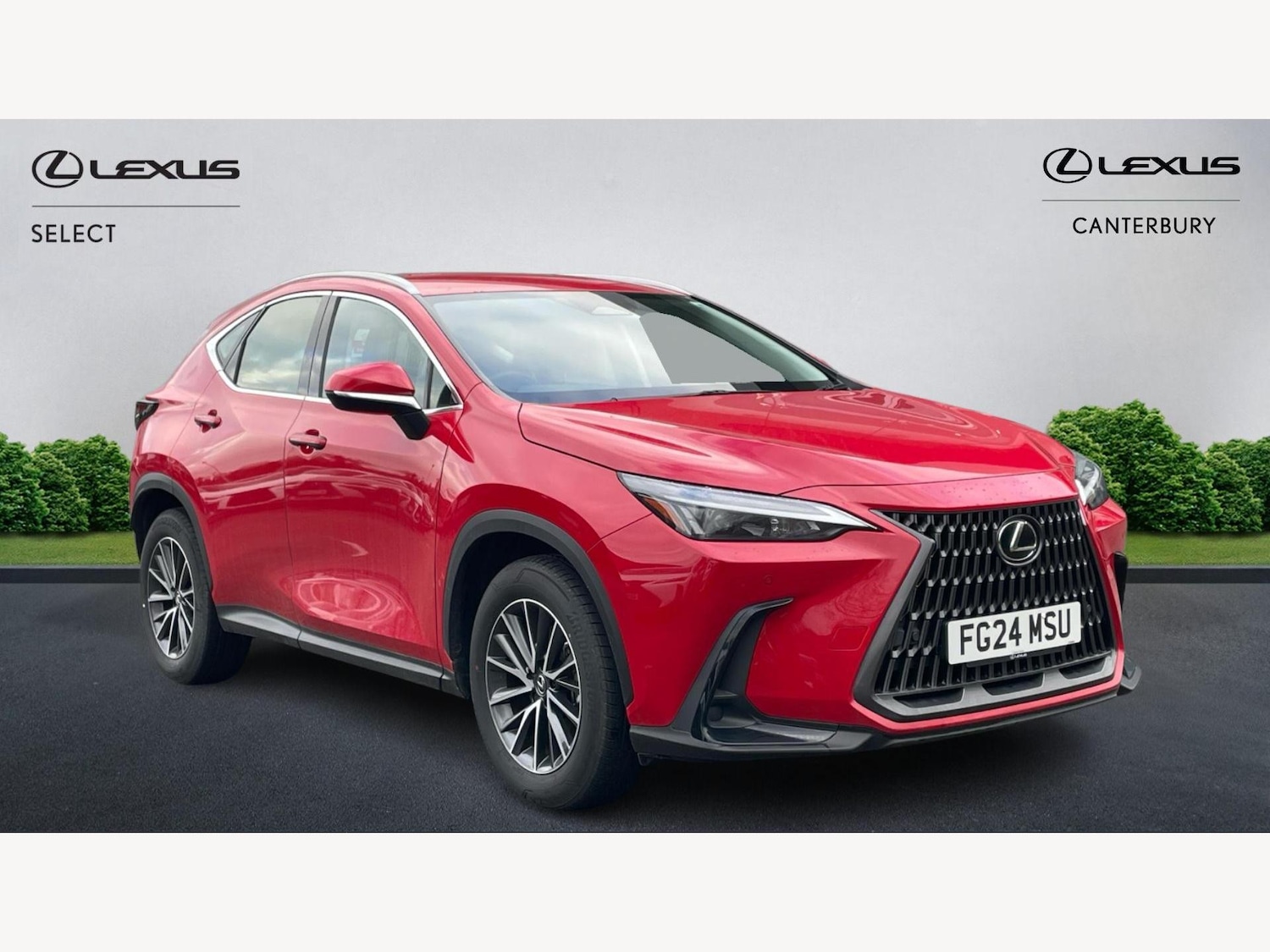Used Lexus NX 2024 for sale - 77565094: Photo 1