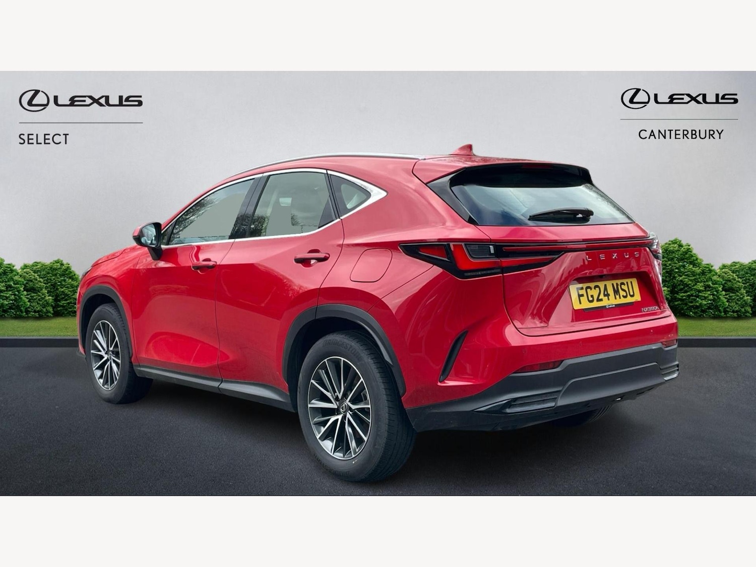 Used Lexus NX 2024 for sale - 77565094: Photo 2