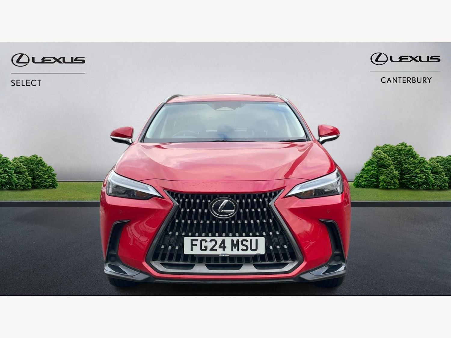Used Lexus NX 2024 for sale - 77565094: Photo 6